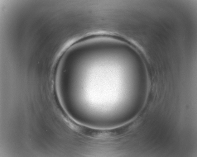 X0000082201367200701270107