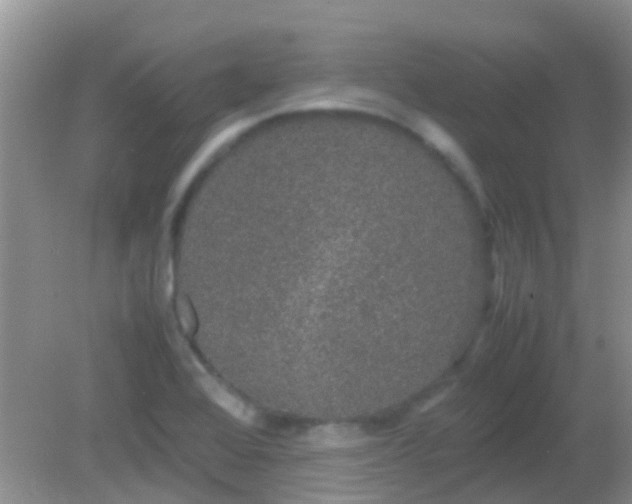 X0000082201368200701270107