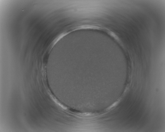 X0000082201369200701270107