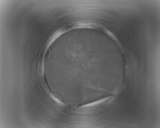 X0000082201370200701270107