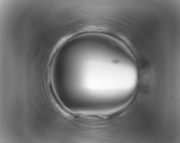 X0000082201371200701270107