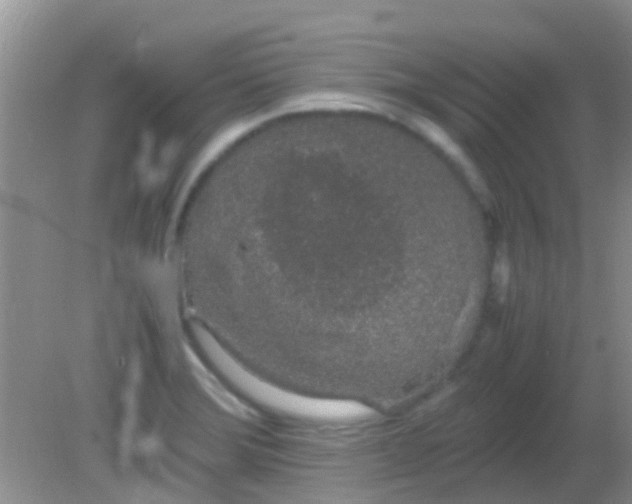 X0000082201372200701270107