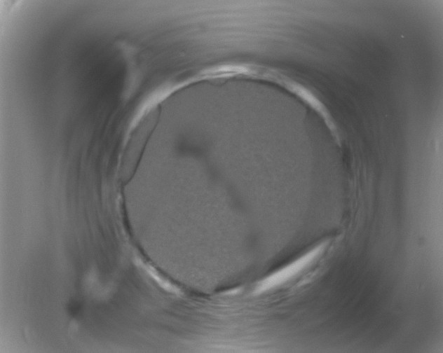 X0000082201373200701270107