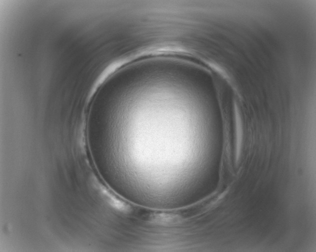 X0000082201374200701270107