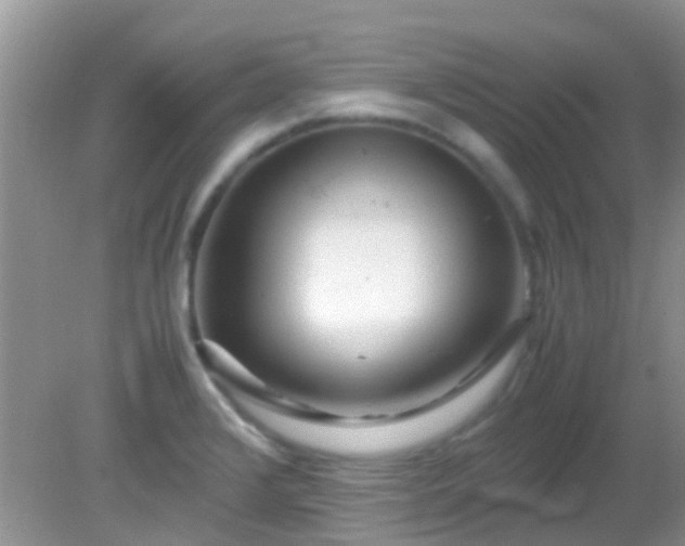 X0000082201376200701270107