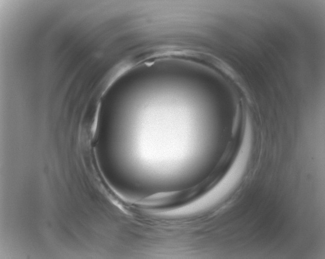 X0000082201377200701270107