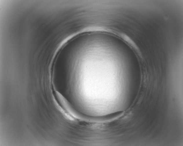 X0000082201380200701270107