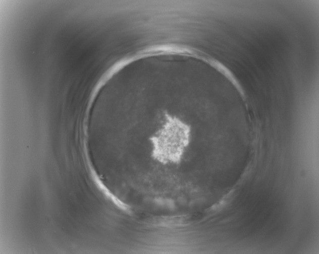 X0000082201381200701270107