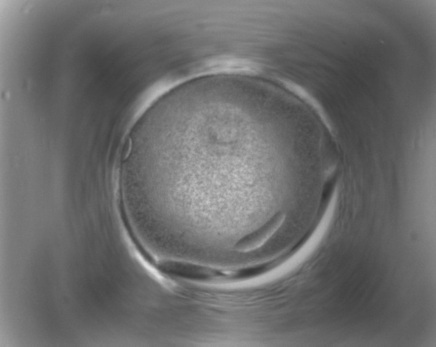 X0000082201383200701270107