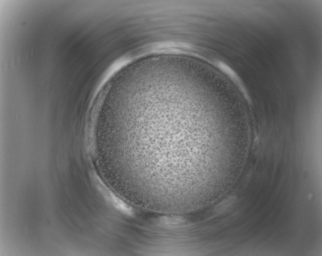 X0000082201384200701270107