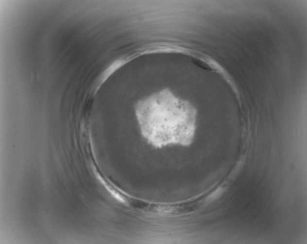 X0000082201385200701270107