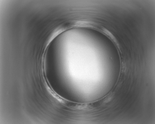 X0000082201386200701270107