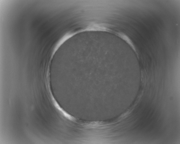 X0000082201387200701270107