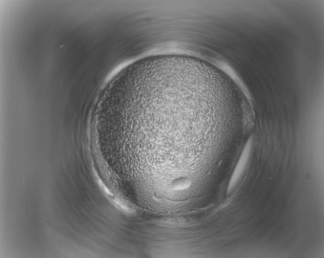 X0000082201388200701270107