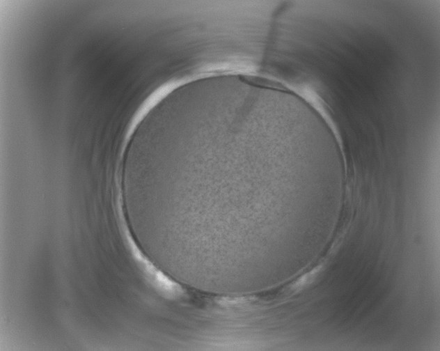 X0000082201389200701270107