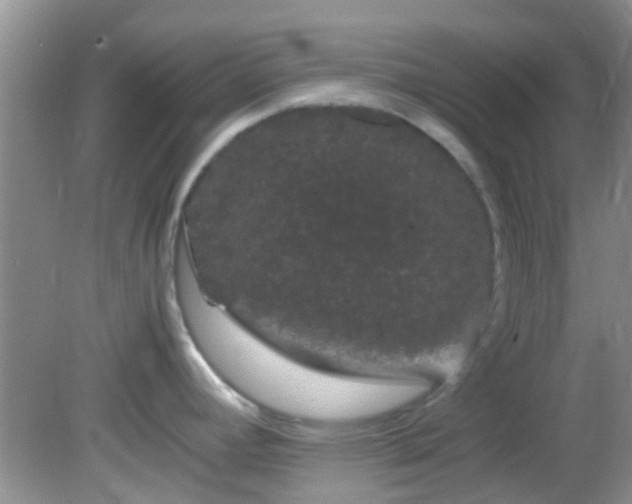 X0000082201392200701270107