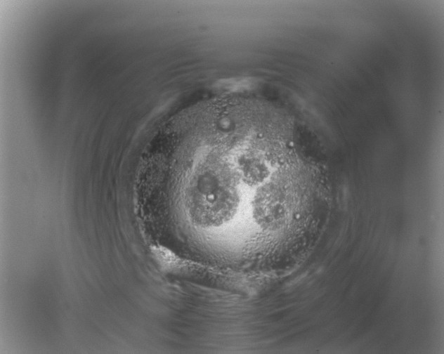 X0000082201393200701270106