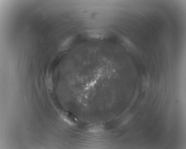 X0000082201394200701270106