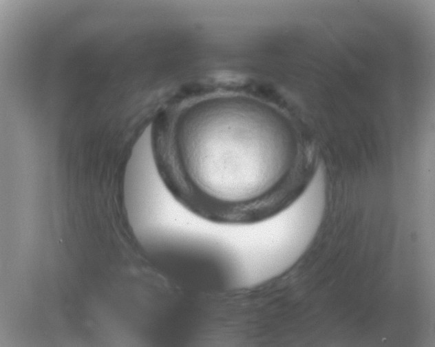 X0000082201397200701270106