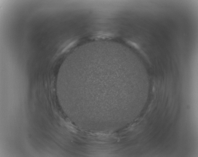 X0000082201399200701270106