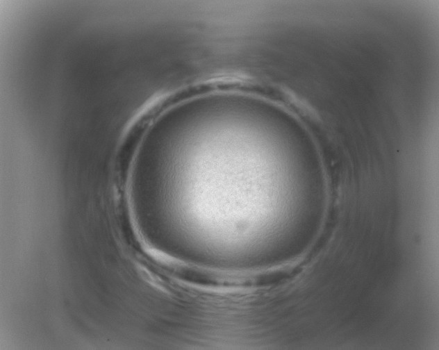 X0000082201400200701270106