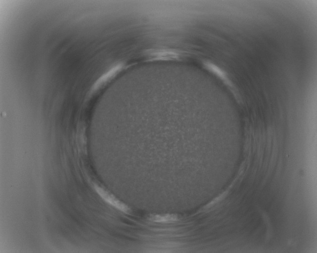 X0000082201403200701270106