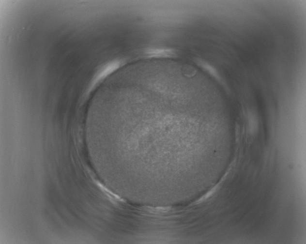 X0000082201405200701270106