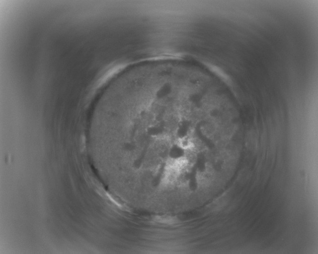 X0000082201407200701270106