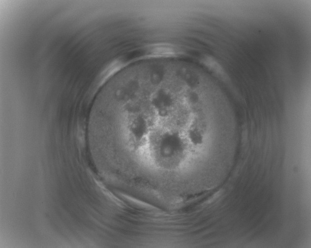 X0000082201409200701270106