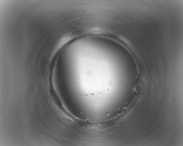 X0000082201410200701270106