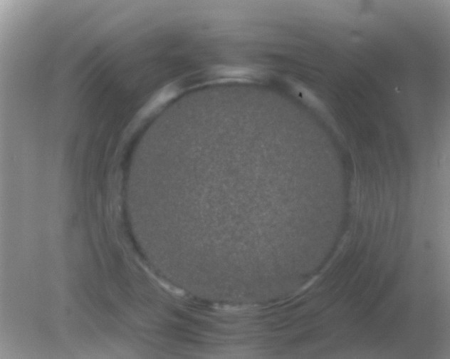 X0000082201411200701270106