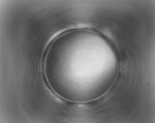 X0000082201412200701270106