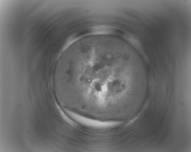 X0000082201417200701270106