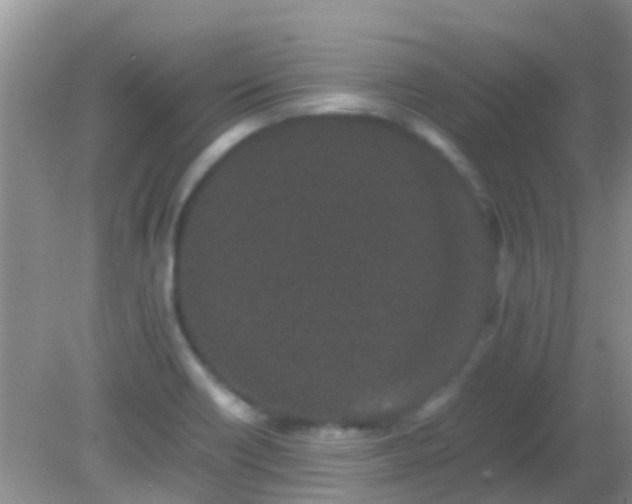 X0000082201418200701270106