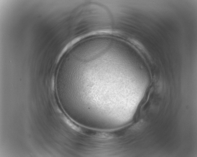 X0000082201420200701270106