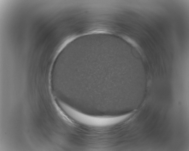 X0000082201423200701270106