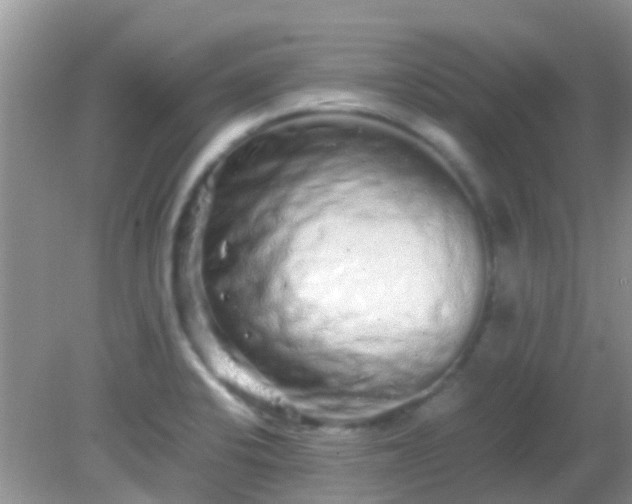 X0000082201424200701270106