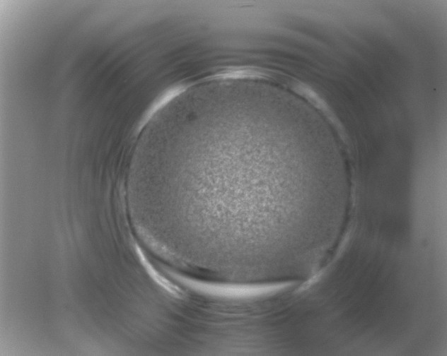 X0000082201425200701270106