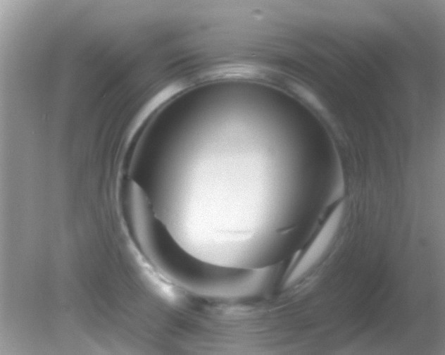 X0000082201426200701270106