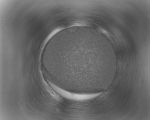 X0000082201427200701270106