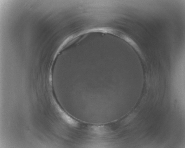 X0000082201428200701270106