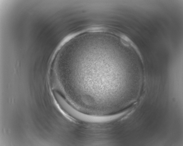 X0000082201429200701270106