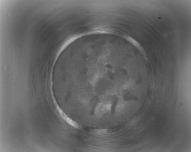 X0000082201431200701270107