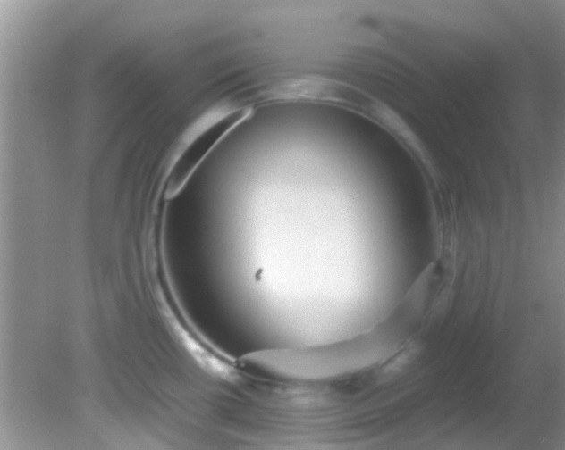 X0000082201434200701270107