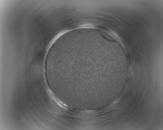 X0000082201435200701270107