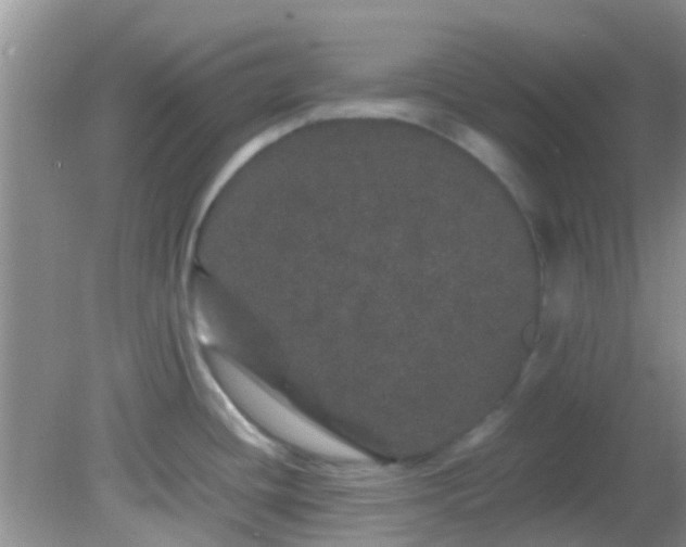 X0000082201436200701270107