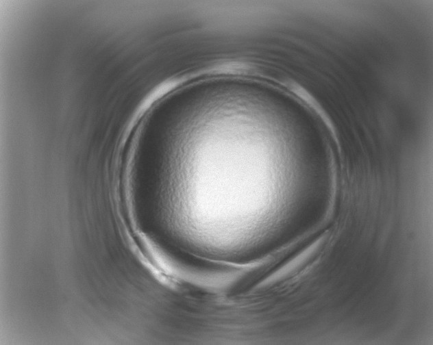 X0000082201437200701270107