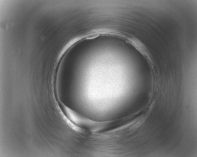 X0000082201438200701270107