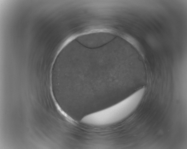 X0000082201439200701270107