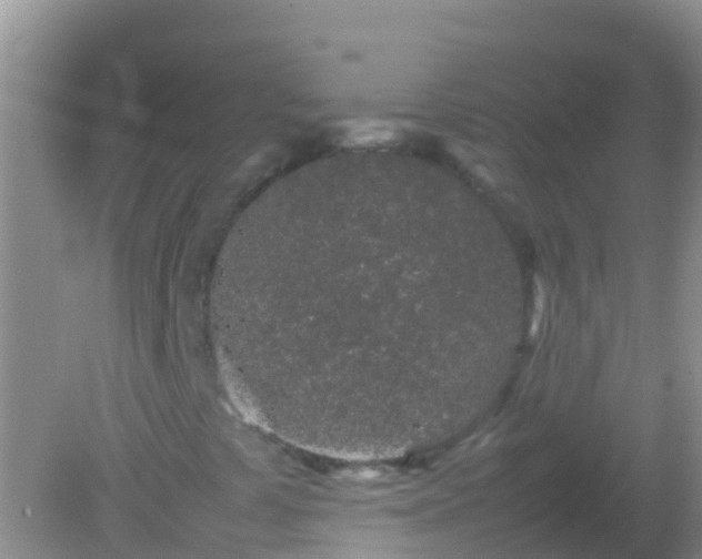 X0000082201441200701270106